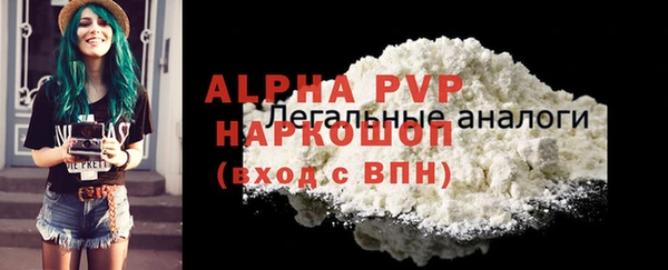 гидра Белокуриха