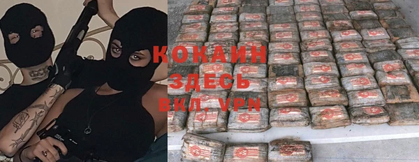 гидра Белокуриха