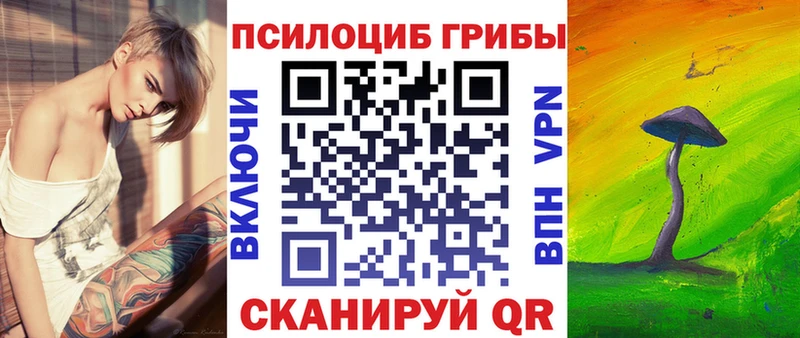 Галлюциногенные грибы Psilocybe  Купить где  Барыш 